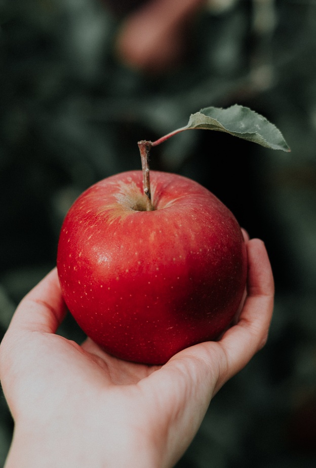 دراسة: فوائد التفاح والشوكولاتة لصحة كبار السن