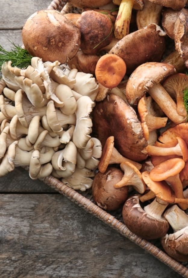 الفطر مصدر غني بفيتامين د