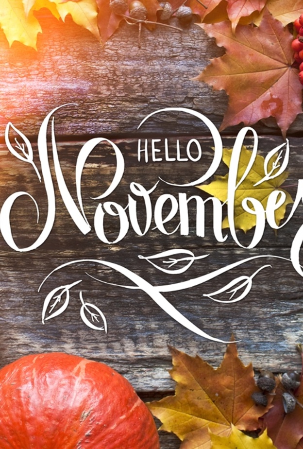 توقعات الأبراج لشهر نوفمبر