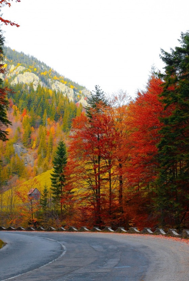 خطط بذكاء للعطلة هذا الخريف بواسطة pxhere