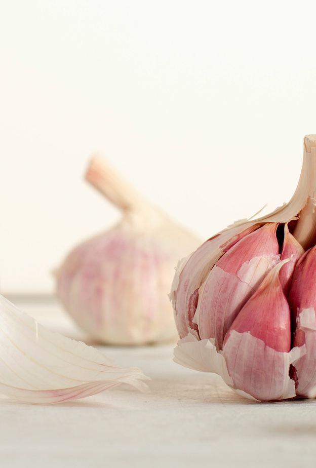 فوائد تناول الثوم في فصل الشتاء