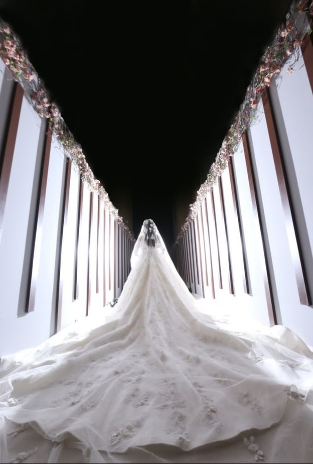 فساتين زفاف مع ذيل طويل انستقرام@fatima_alabdulqader