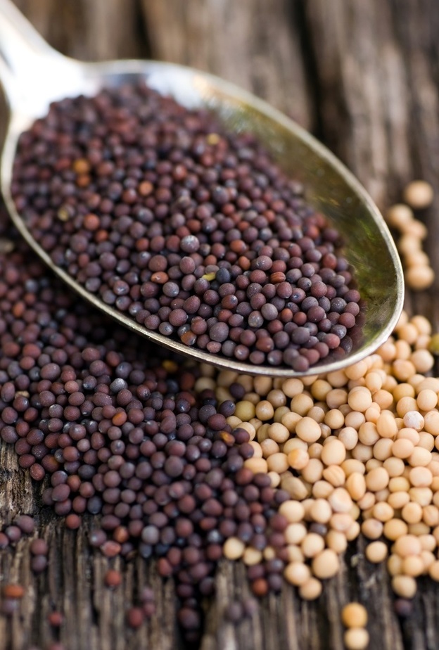 فوائد الخردل لمرضى ارتفاع الكوليسترول