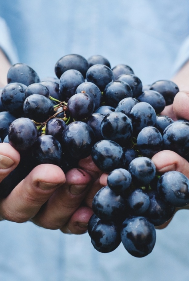 فوائد تناول العنب لمرضى ارتفاع الكوليسترول