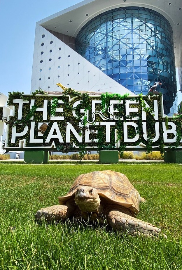 ذا جرين بلانيت.. مغامرة استثنائية في غابة استوائية بقلب دبي 