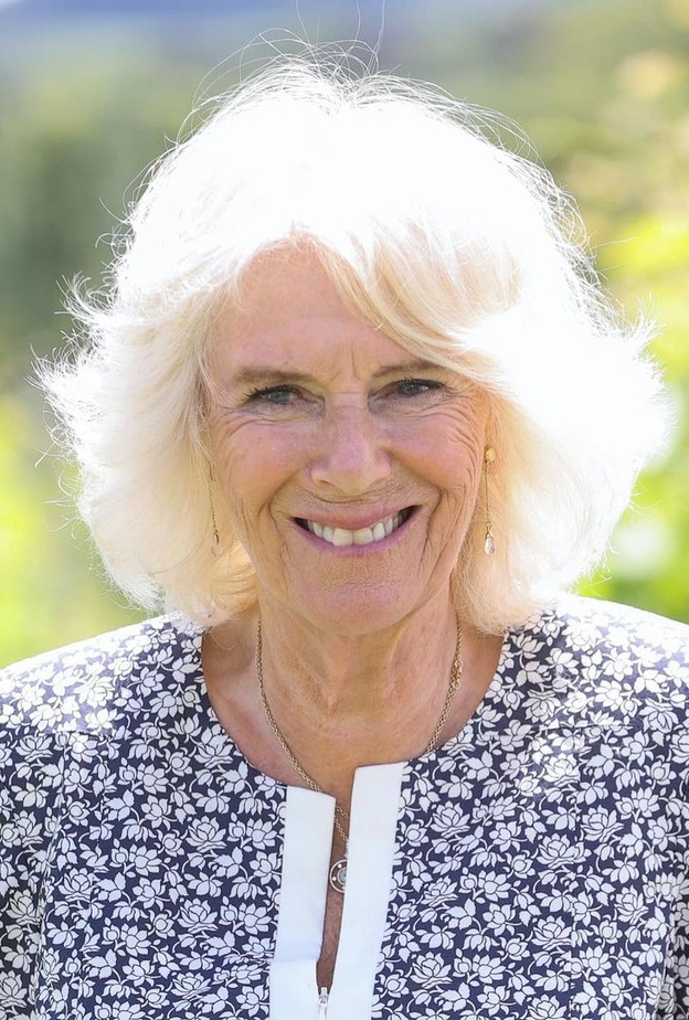 ماذا قالت كاميلا باركر في مقالها عن العنف المنزلي؟