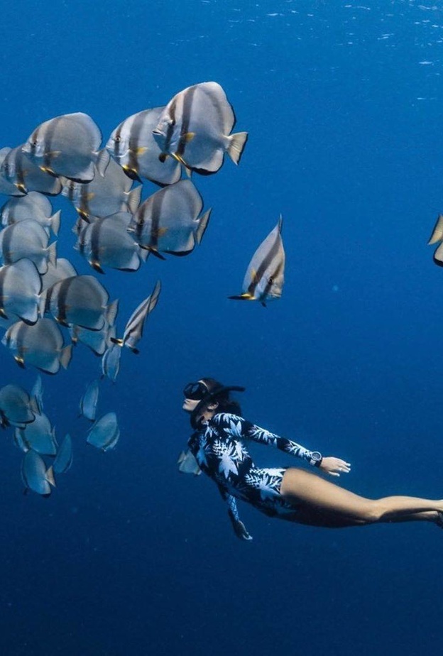 فري دايفينج.. تجربة تحبس الأنفاس لعشاق الغوص في أبوظبي  