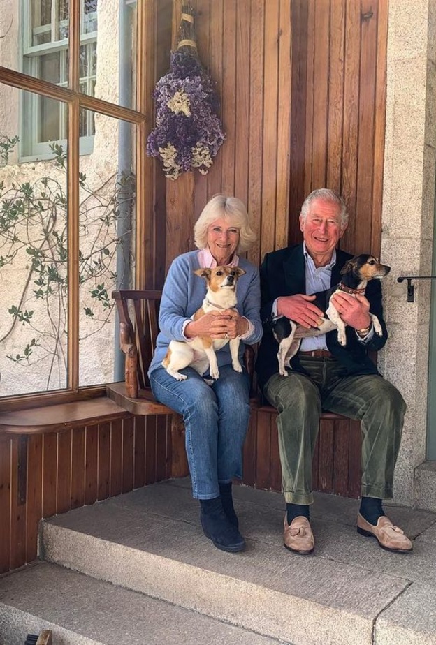 من هم أفراد العائلات الملكية اللذين تزوجوا بعد طلاقهم؟