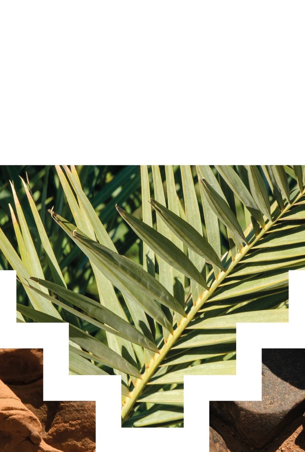 إطلاق جائزة العلا للتصميم لأعمال مستوحاة من الطبيعة الساحرة والتراث الأصيل