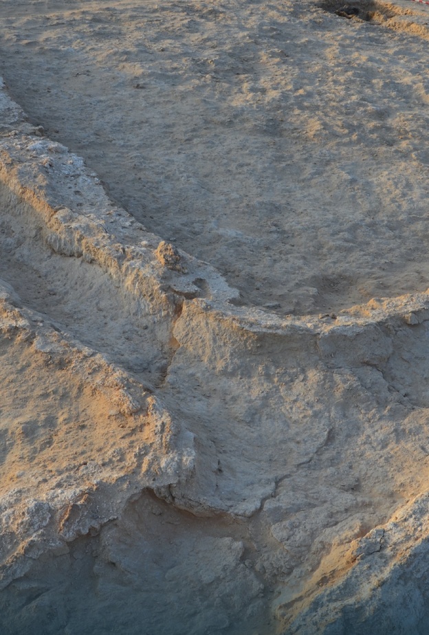 هيئة التراث تكشف النتائج المبدئية للتنقيبات الأثرية في "قصيرات عاد"