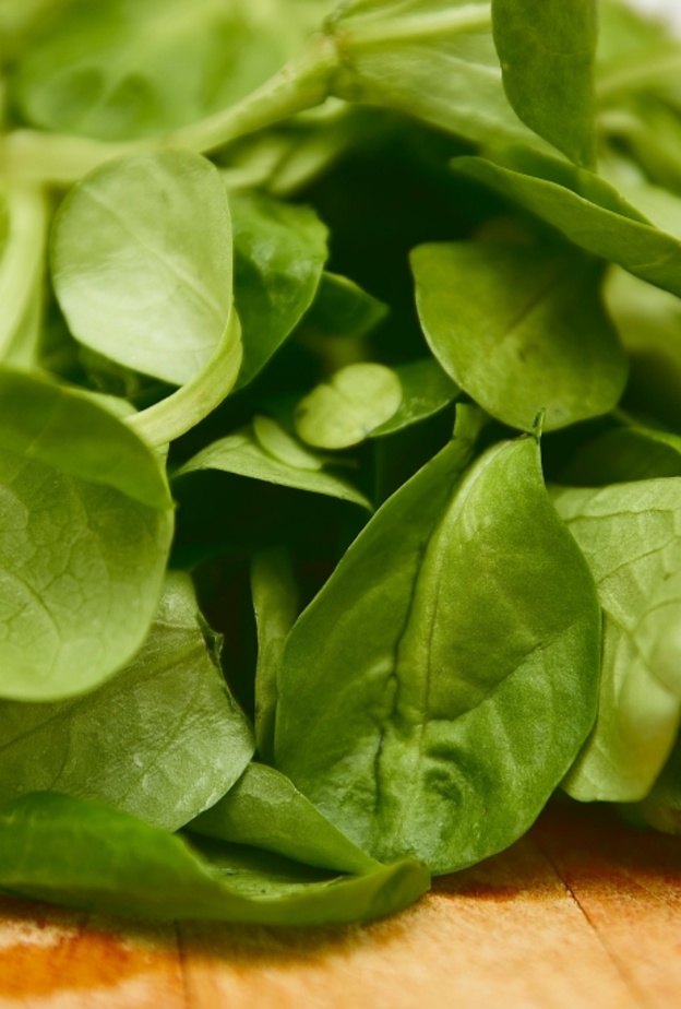 فوائد تناول السبانخ في الشتاء