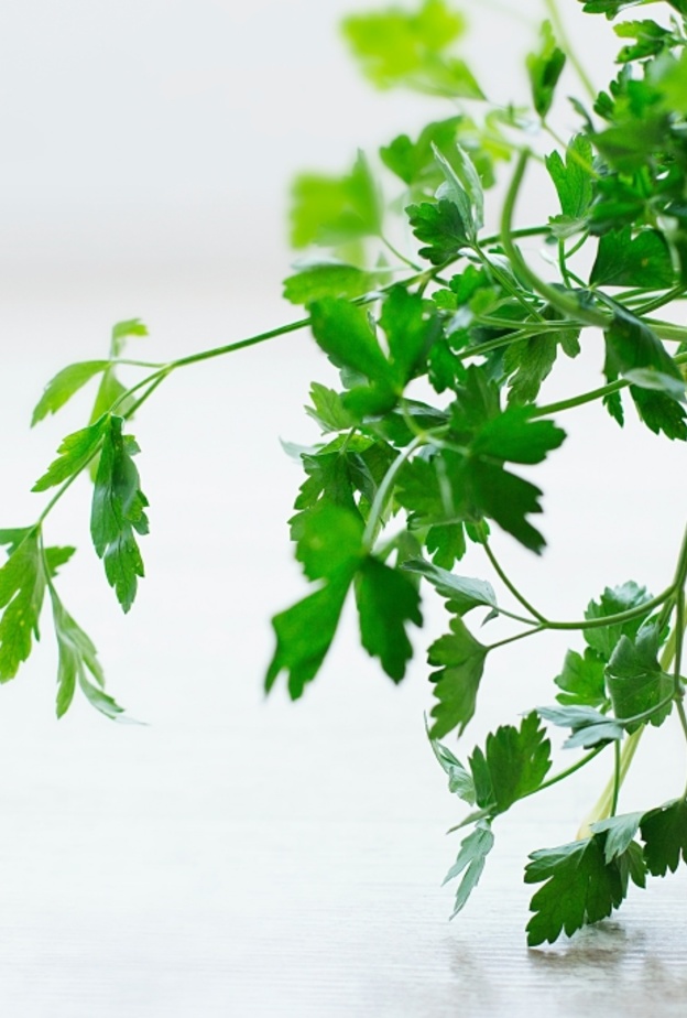 فوائد البقدونس والكرفس لحرق الدهون