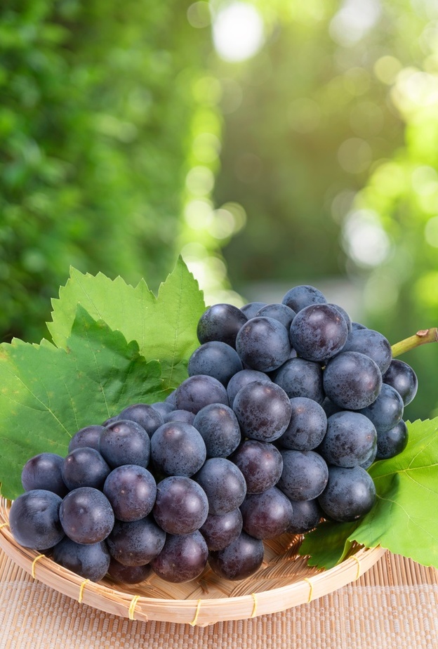 أفضل فاكهة لصحة الأمعاء ما هي