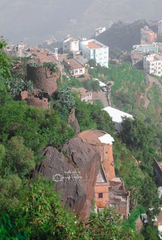  المسطحات الخضراء تزيد من جمال المشهد في فيفاء - المصدر 20s02