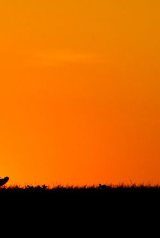 المشي في الهواء الطلق في مدينة الرياض في شتاء