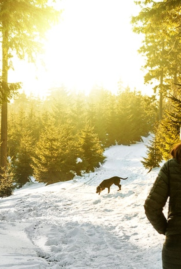 تعرف على طرق للاستمتاع بالسفر في فصل الشتاء بواسطة rawpixel