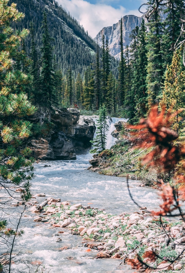 زيارة غابة ثلجية ساحرة في بانف في كندا (1)