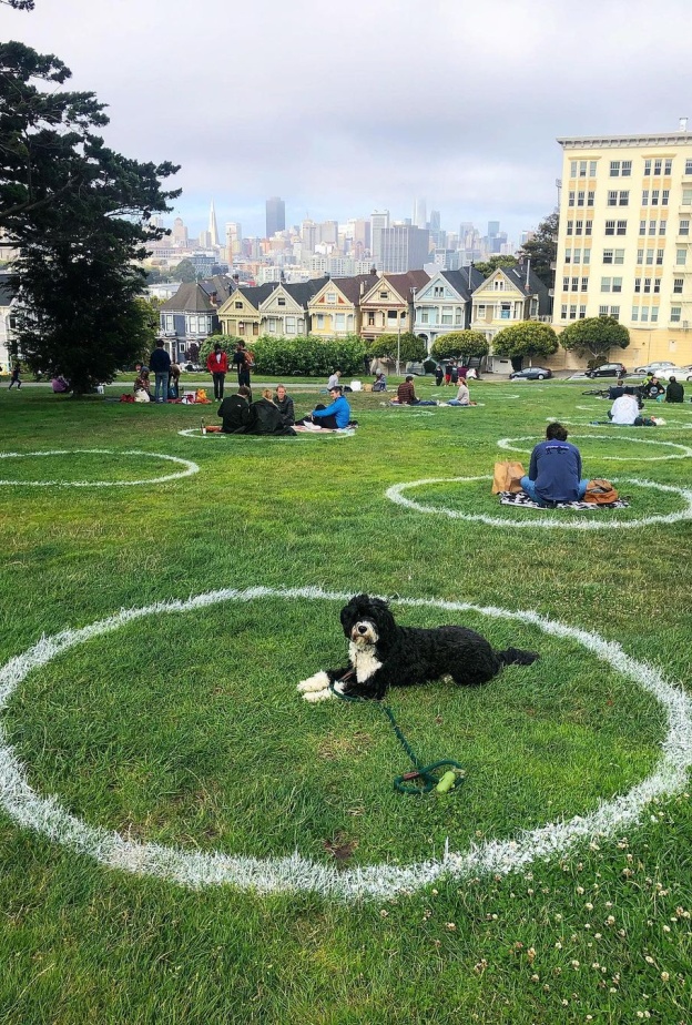 ساحة ألامو Alamo Square