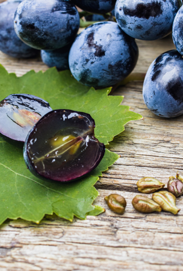 ما هي فوائد بذور العنب للتخسيس