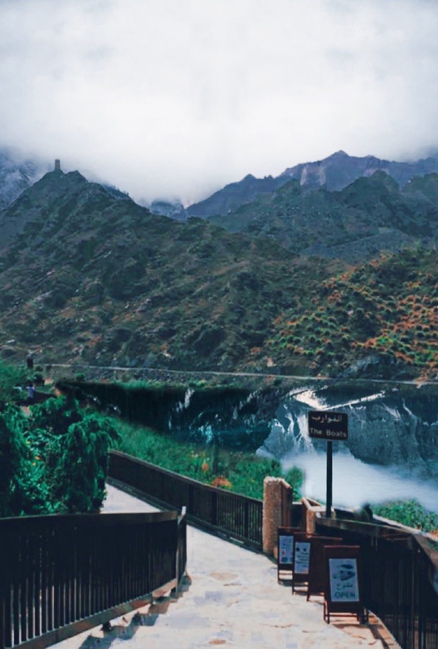 طبيعة لا تقاوم في محيط سد الرفيصة - المصدر @sumaya94a