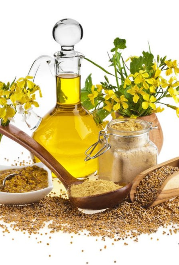 فوائد الخردل للعظام والمفاصل وكيفية استخدامه