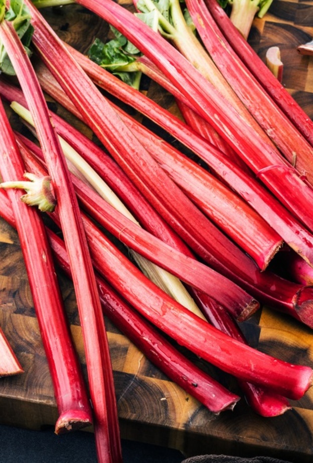 فوائد عشبة الراوند للامساك