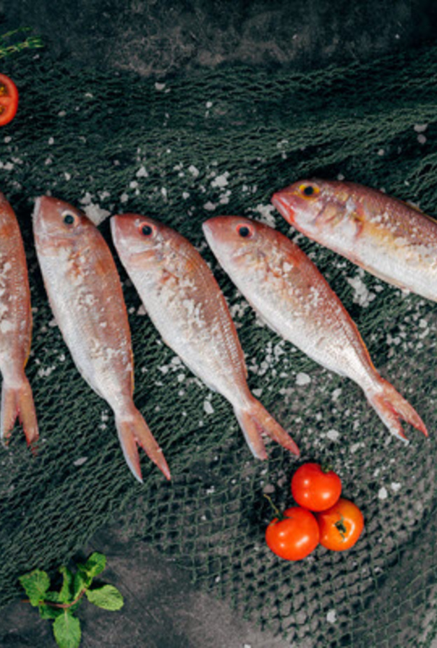 ماهي فوائد تناول الأسماك في الشتاء