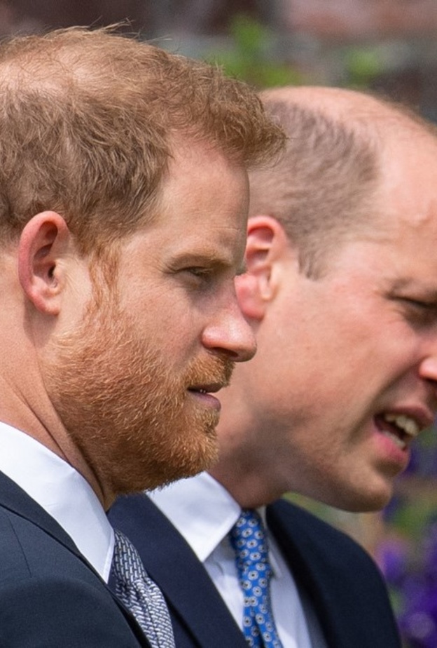 ويليام وهاري يقابلان الفائزون بجائزة الأميرة ديانا