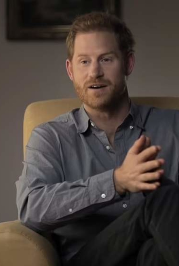 هجوم الأمير هاري  على العائلة المالكة