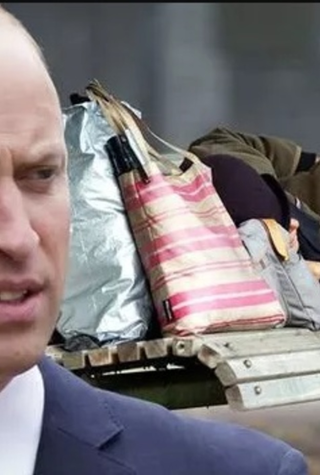 هل يخطط الأمير وليام لتحويل أرض ملكية لملجأ للمشردين