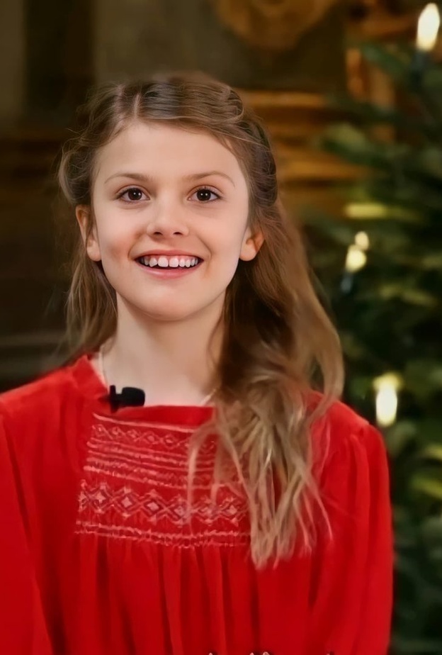 الأميرة استيل توجه رسالة بمناسبة نهاية العام