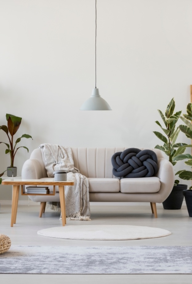 أحواض النباتات تزيين غرف معيشة 2022