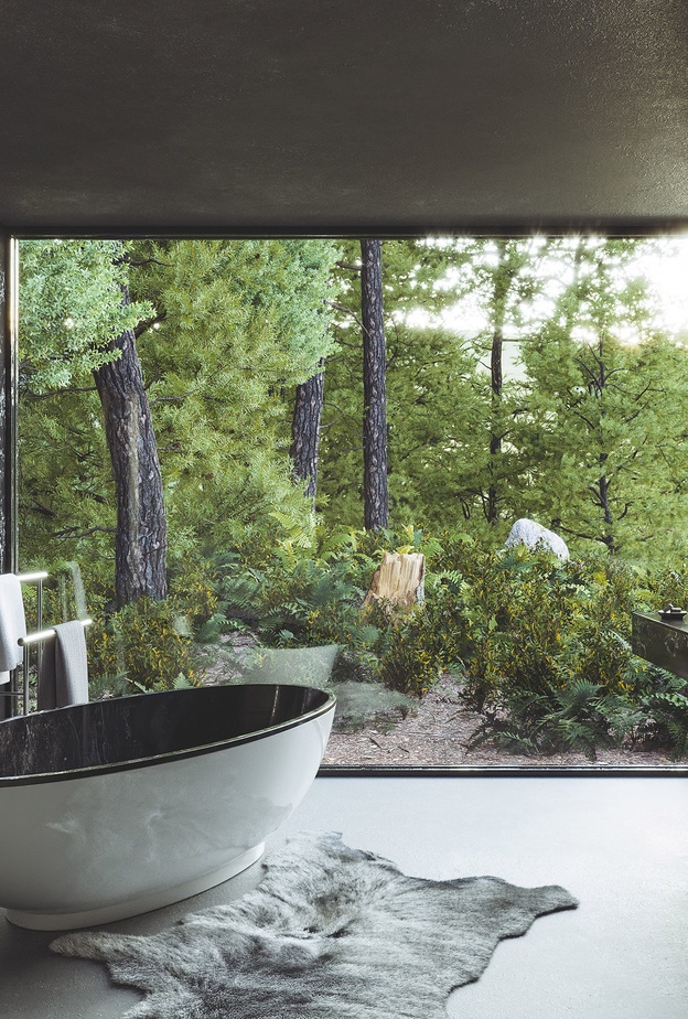 إطلالة رائعة للحمام الغانق