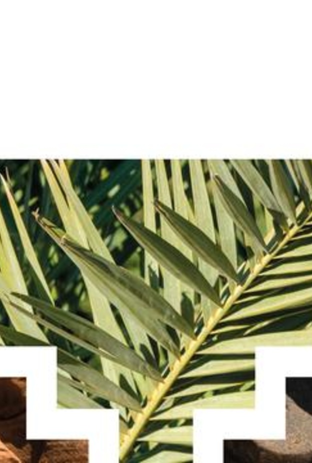 اعلان أسماء الفائزين والفائزات في "جائزة العلا للتصميم" في دورتها الأولى في "المهرجان السعودي للتصميم"