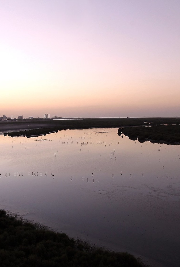 خور عجمان.. عش تجربة لا تنسى في أحضان الطبيعة الخلابة بالإمارات