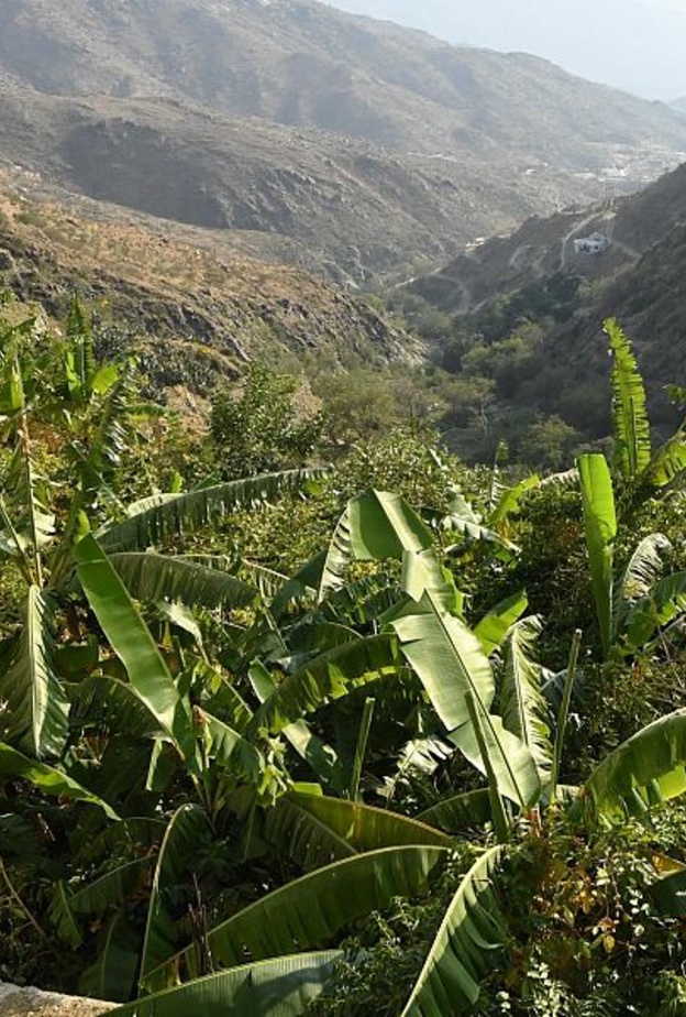 لقطة ساحرة من وادي الغيل - المصدر واس