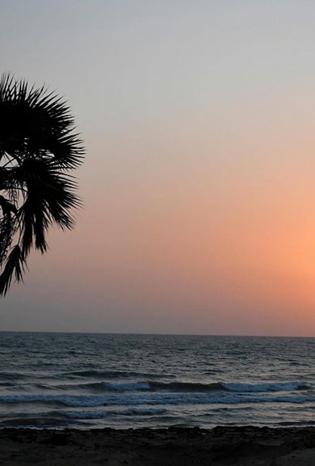 سواحل منطقة عسير.. تجربة ساحرة للتمتع بدفء الطبيعة في أحضان الأمواج