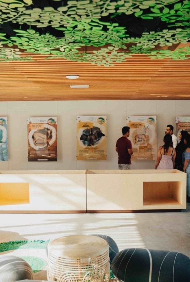 منتجع باب النجوم المغيرة.. متعة الاستجمام في أحضان الطبيعة في الظفرة