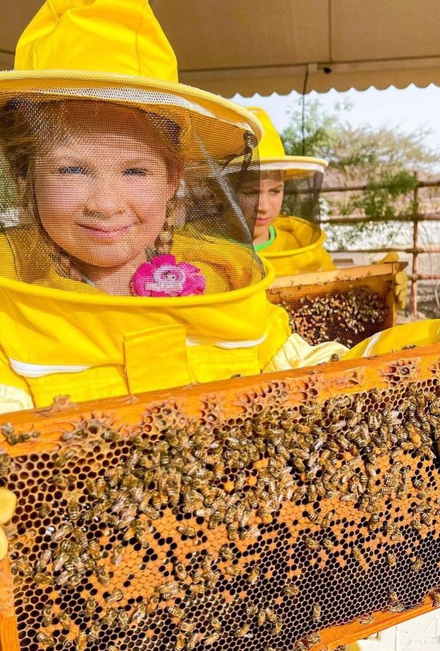 حديقة النحل في حتا.. تجربة مثالية للاستجمام في أحضان الطبيعة الخلابة