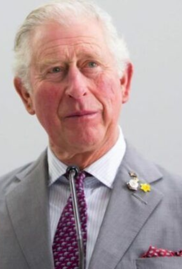 مصدر الأمير تشارلز وجه دعوة للأمير هاري وأسرته لزيارته في المملكة المتحدة