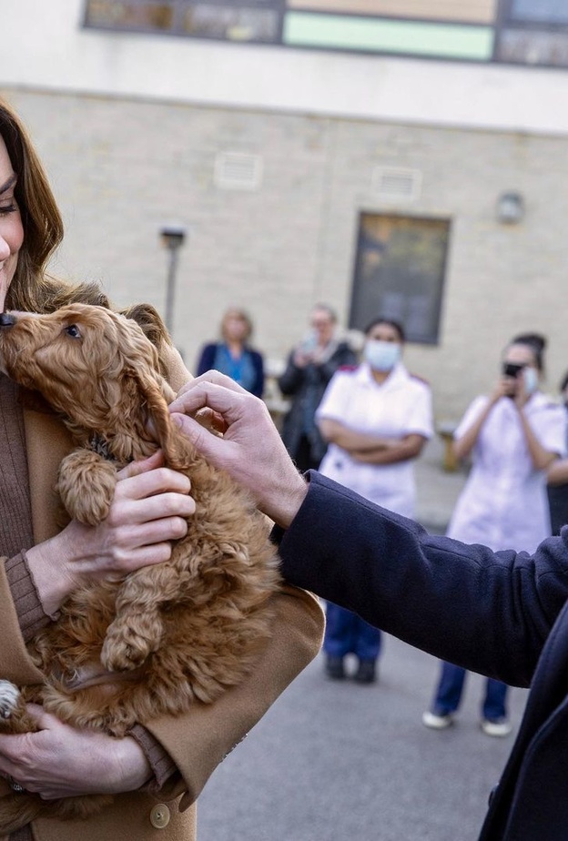 كيت وويليام يقابلان جرو صغير من فصيلة كوكابو cockapoo يٌدعى ألفي Alfie 