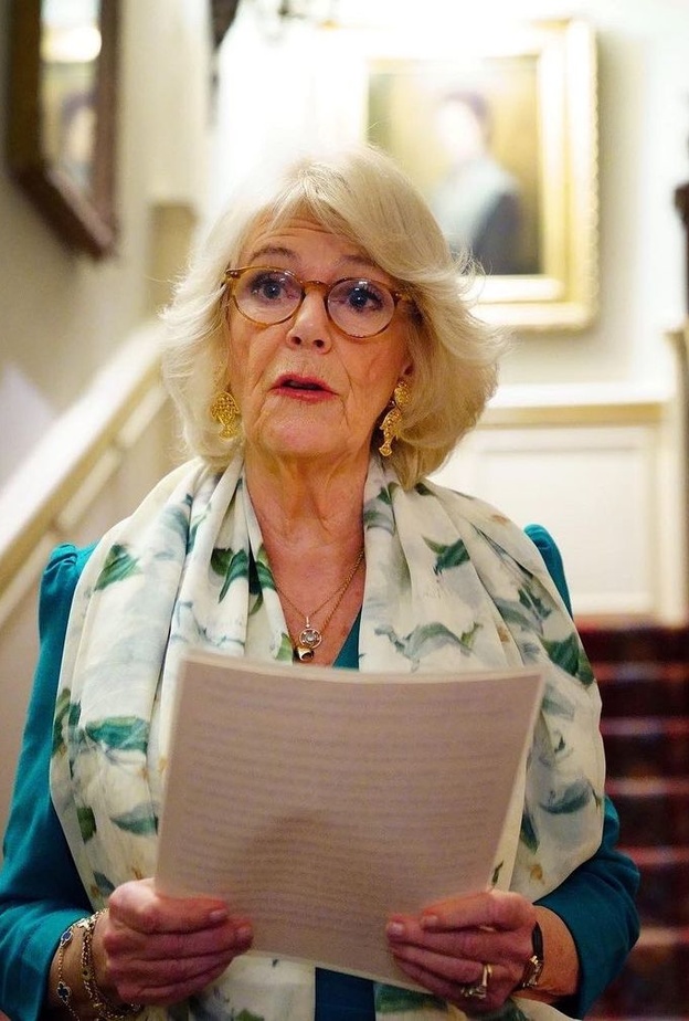 دوقة كورنوال تطالب بإنهاء العنف المنزلي في حفل استقبال خيري