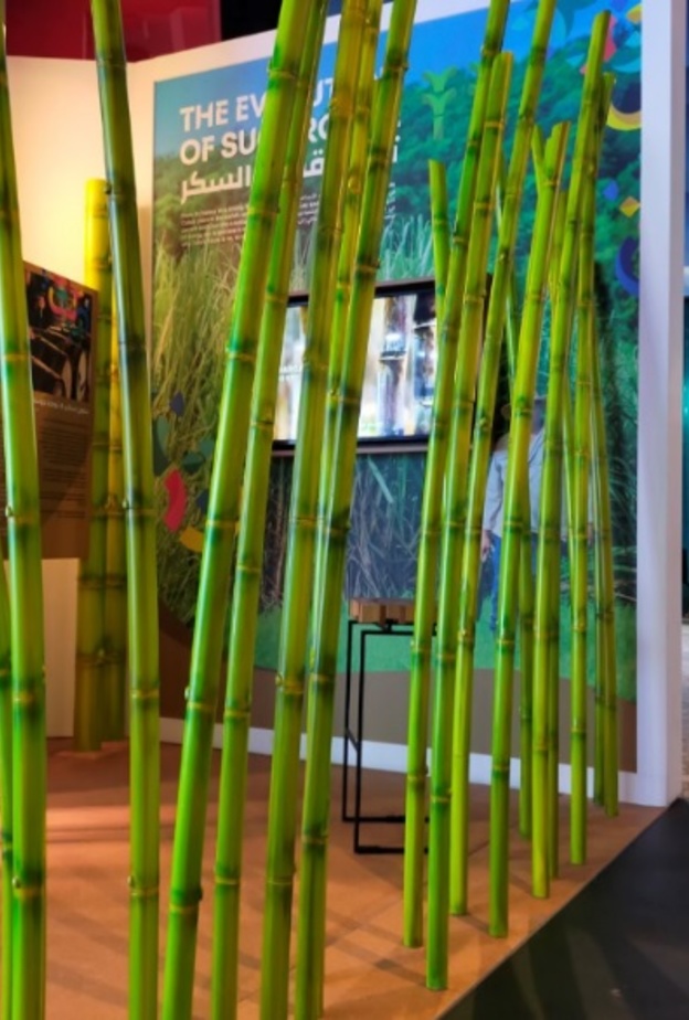 جناح كوبا ينبض بالحياة في إكسبو 2020 دبي.. تجربة رائعة بانتظار الزوار