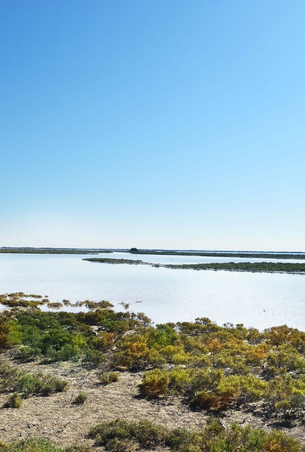 شاطئ القرم.. أجواء خلابة لعشاق الطبيعة والرياضات البحرية بالإمارات