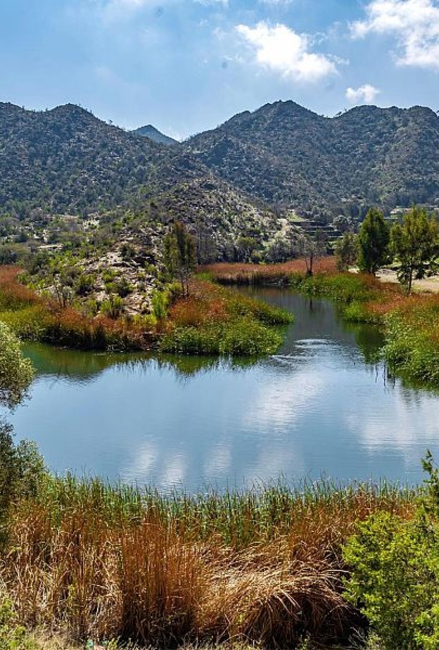 وادي ضرك.. وجهتك المثالية لتتمتعي بأجواء الطبيعة الخلابة بالمملكة