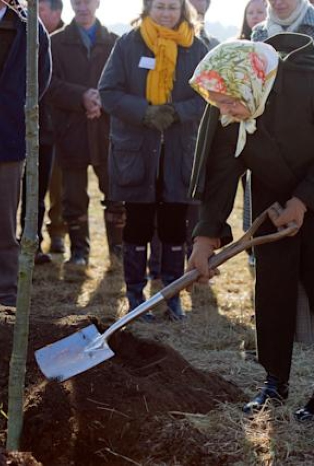 زراعة عشرات الآلاف من الأشجار الجديدة بمناسبة اليوبيل البلاتيني للملكة