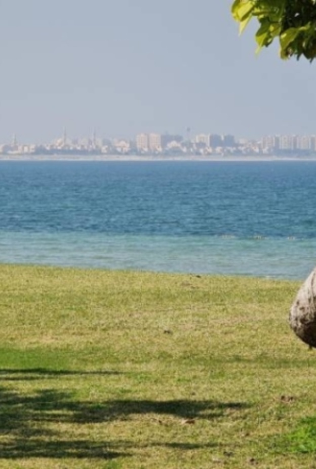 مدينة الجبيل.. أجواء بحرية خلابة وأوقات ممتعة للشباب والعائلات