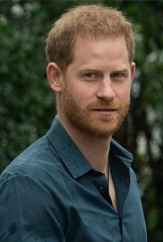 انتقادات للأمير هاري بعد أن أصبح أول فرد ملكي بريطاني يقاضي حكومة الملكة