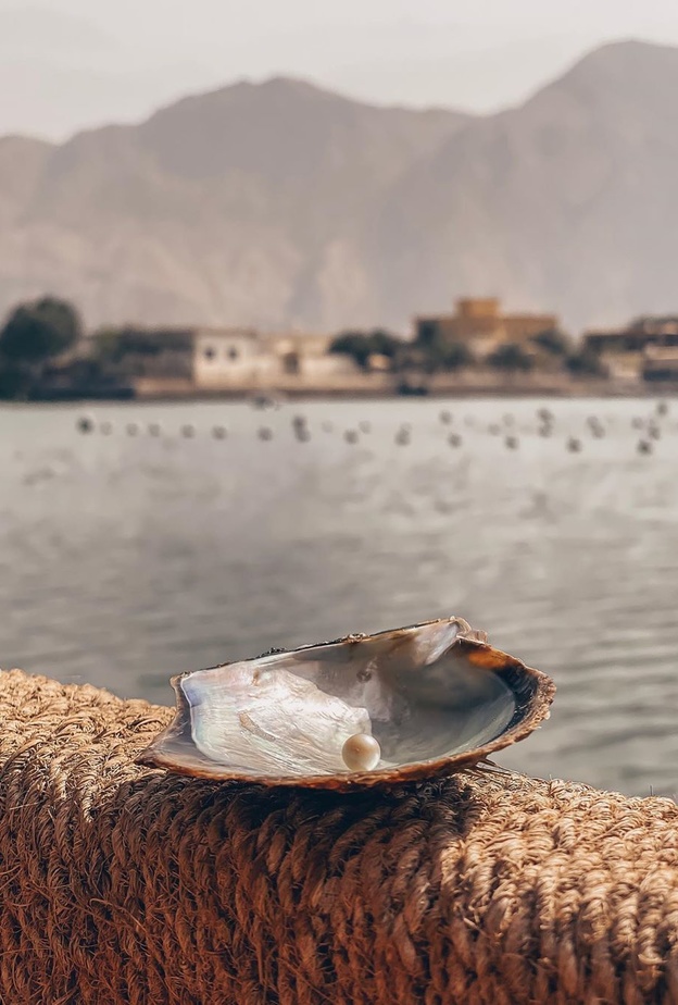 مزرعة لآلئ السويدي.. تجربة ممتعة في أعماق البحر للتعرف على تاريخ اللؤلؤ بالإمارات