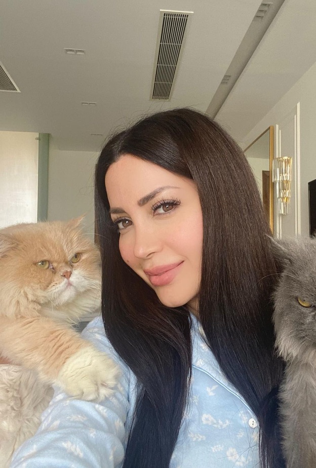 =أشهر النجوم الذين يعشقون تربية القطط